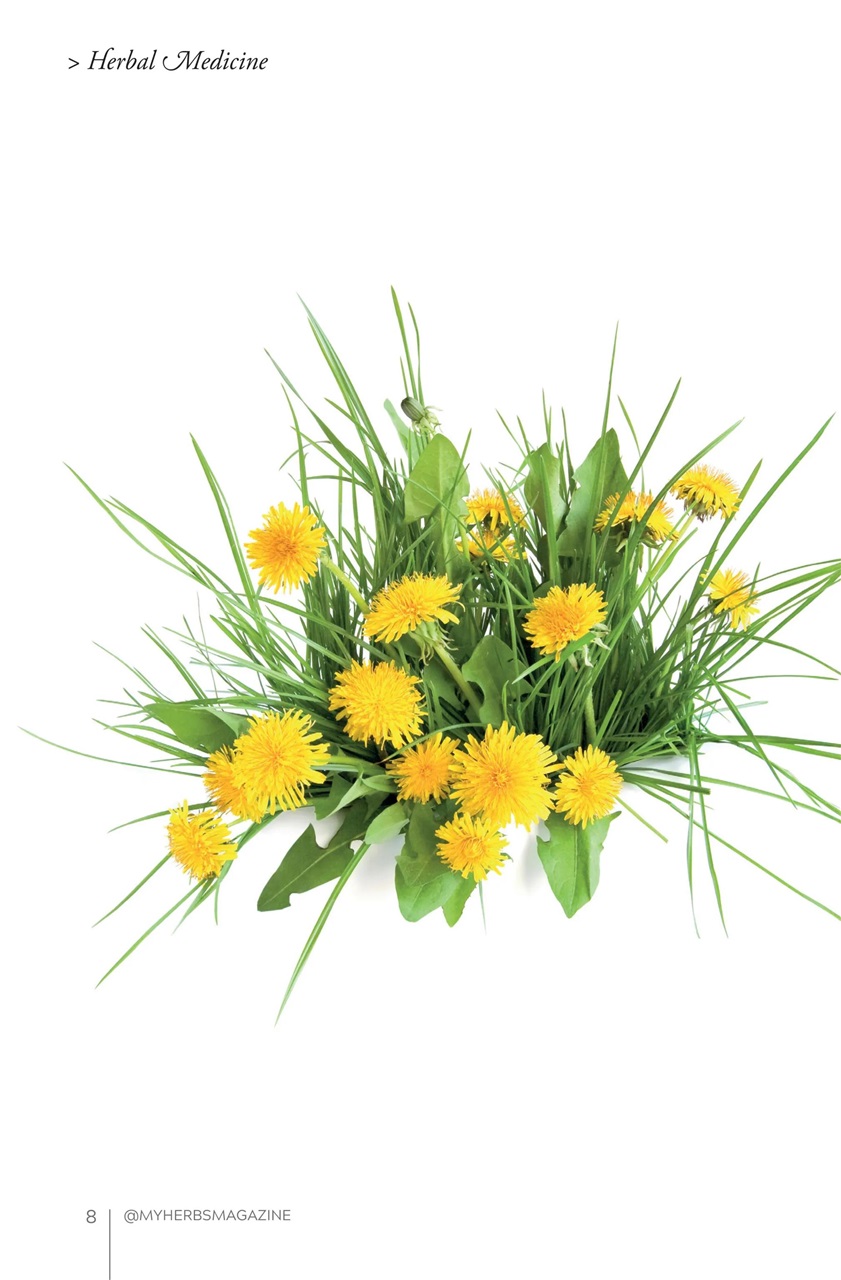 My Herbs Magazine Preview Pages