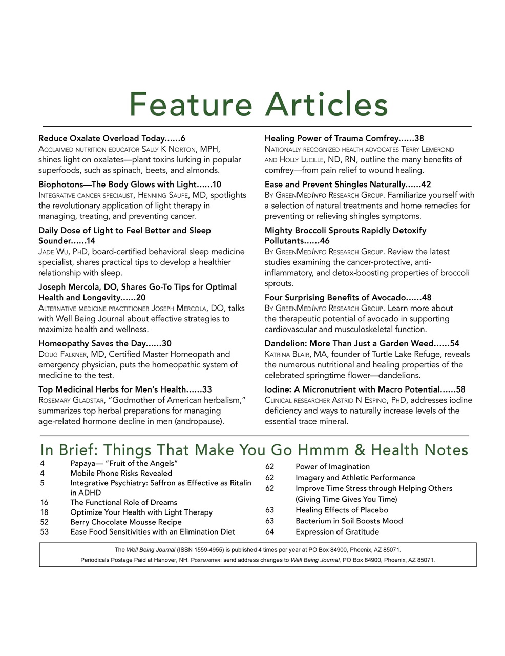 Well Being Journal Preview Pages