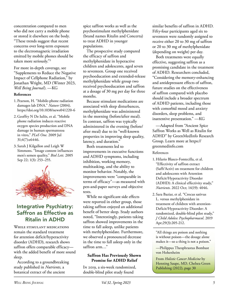 Well Being Journal Preview Pages