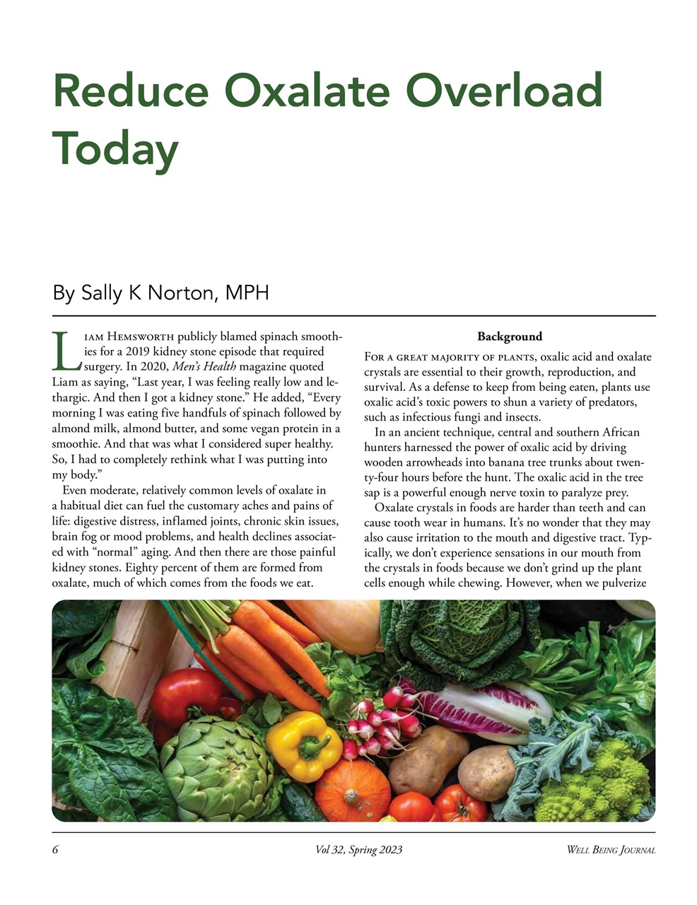 Well Being Journal Preview Pages