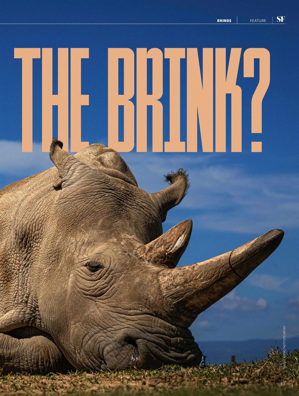 BBC Science Focus Magazine Preview Pages