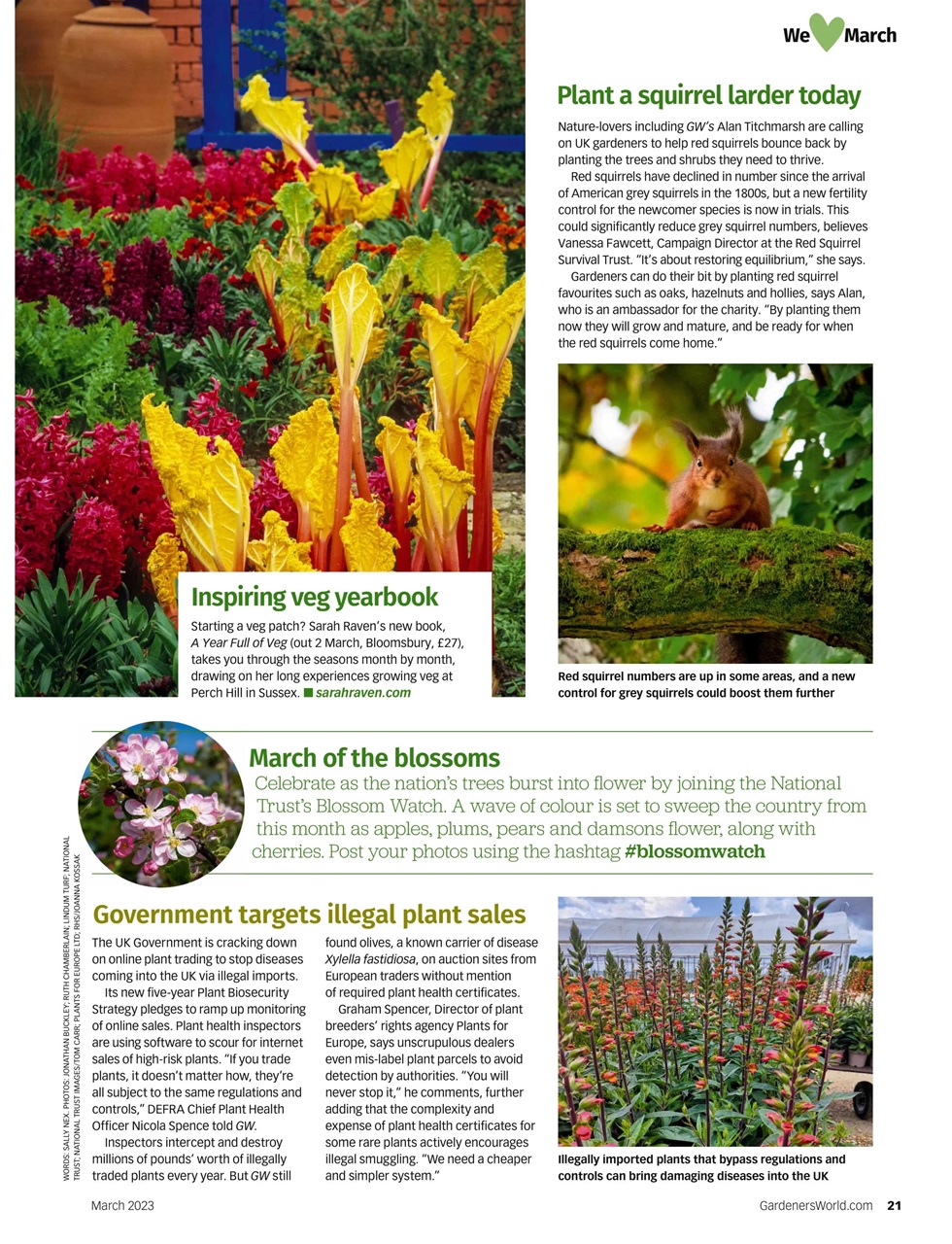 BBC Gardeners’ World Magazine Preview Pages