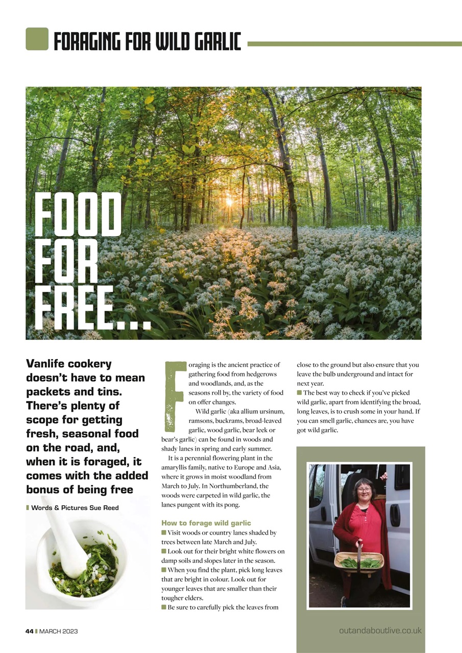 Campervan Preview Pages