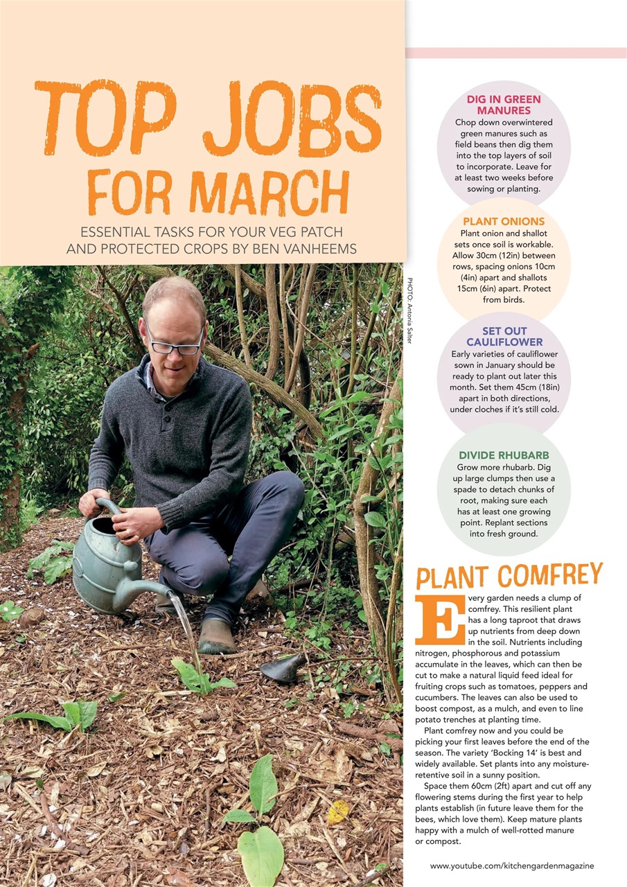 Kitchen Garden Magazine Preview Pages