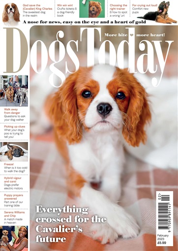 Dogs Today Magazine issue 