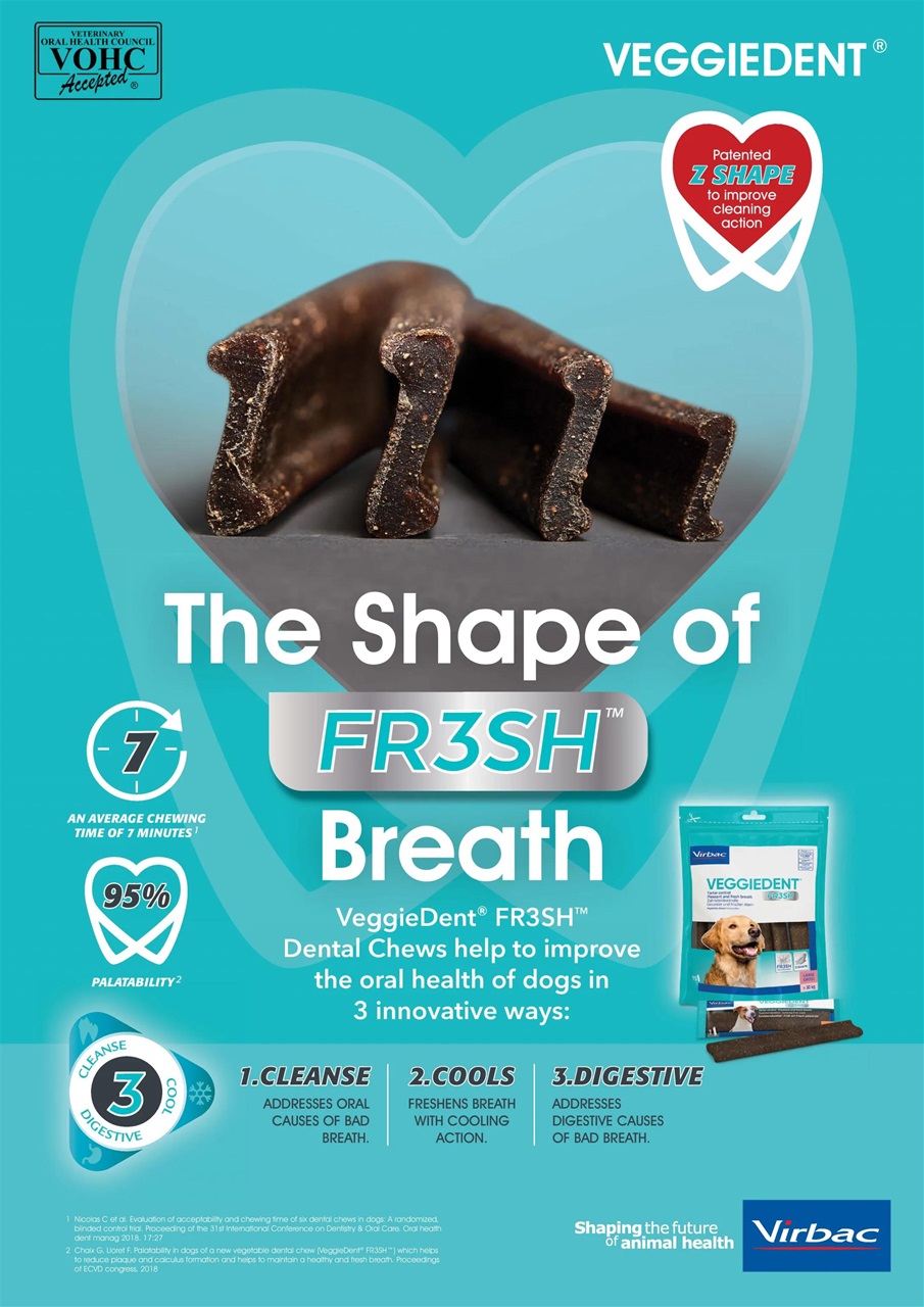 Dogs Today Magazine Preview Pages