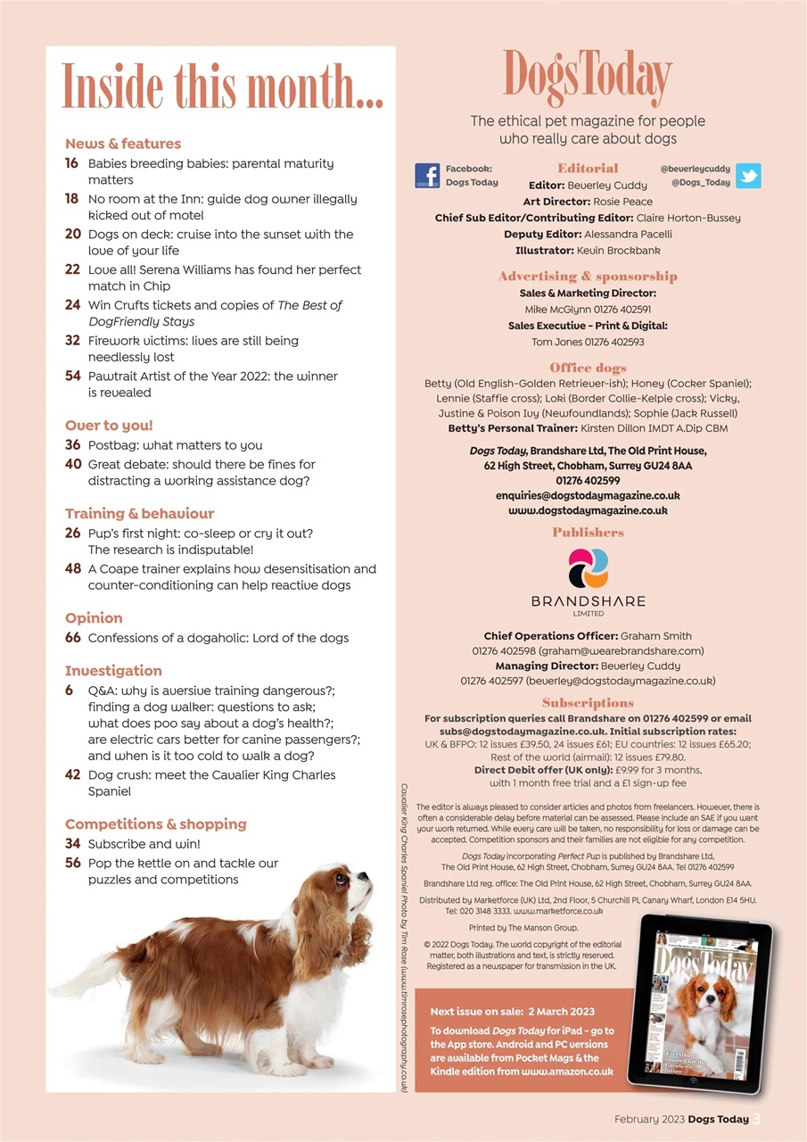 Dogs Today Magazine Preview Pages