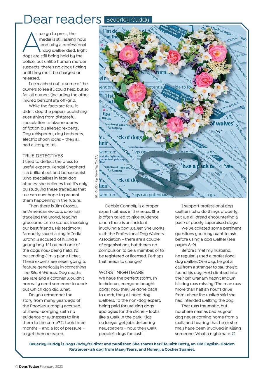 Dogs Today Magazine Preview Pages