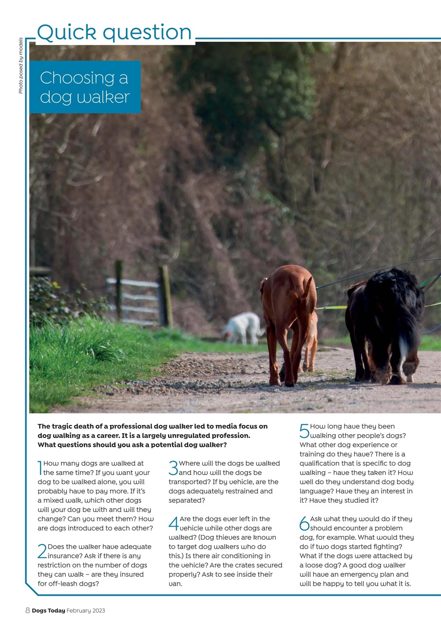 Dogs Today Magazine Preview Pages