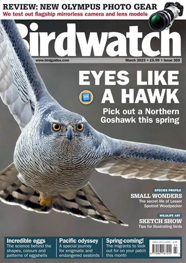 Birdwatch Magazine issue 