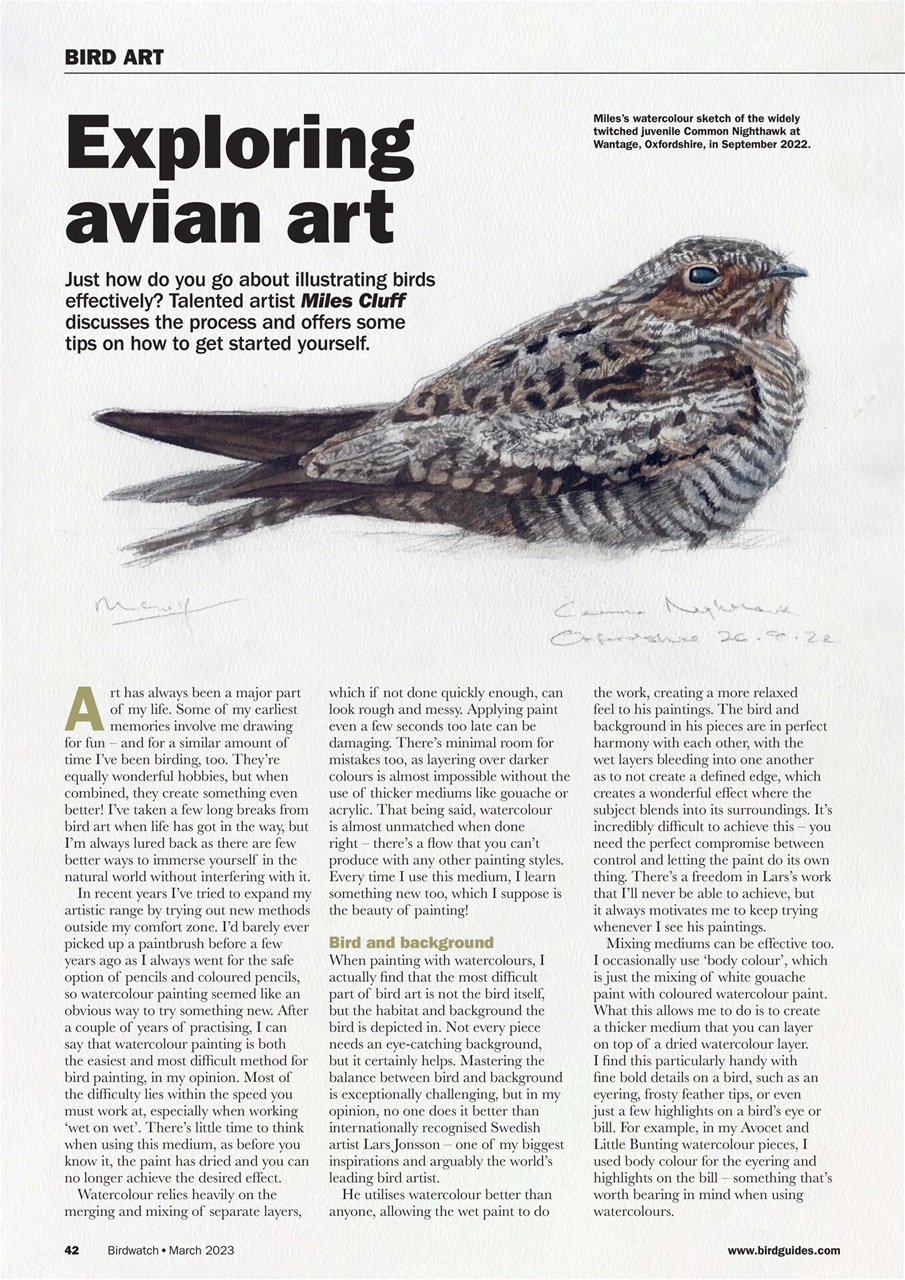 Birdwatch Magazine Preview Pages