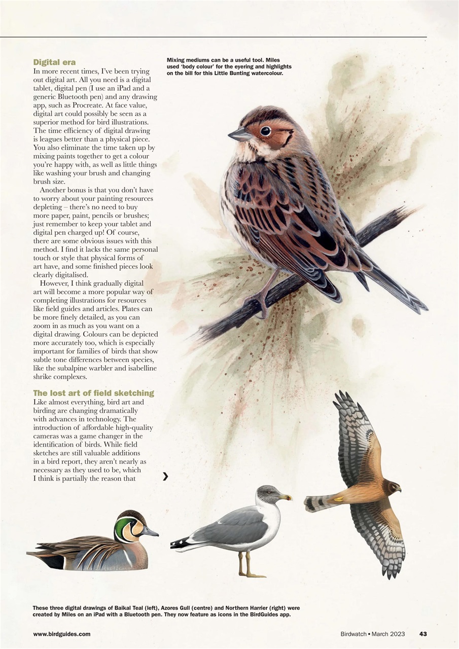 Birdwatch Magazine Preview Pages