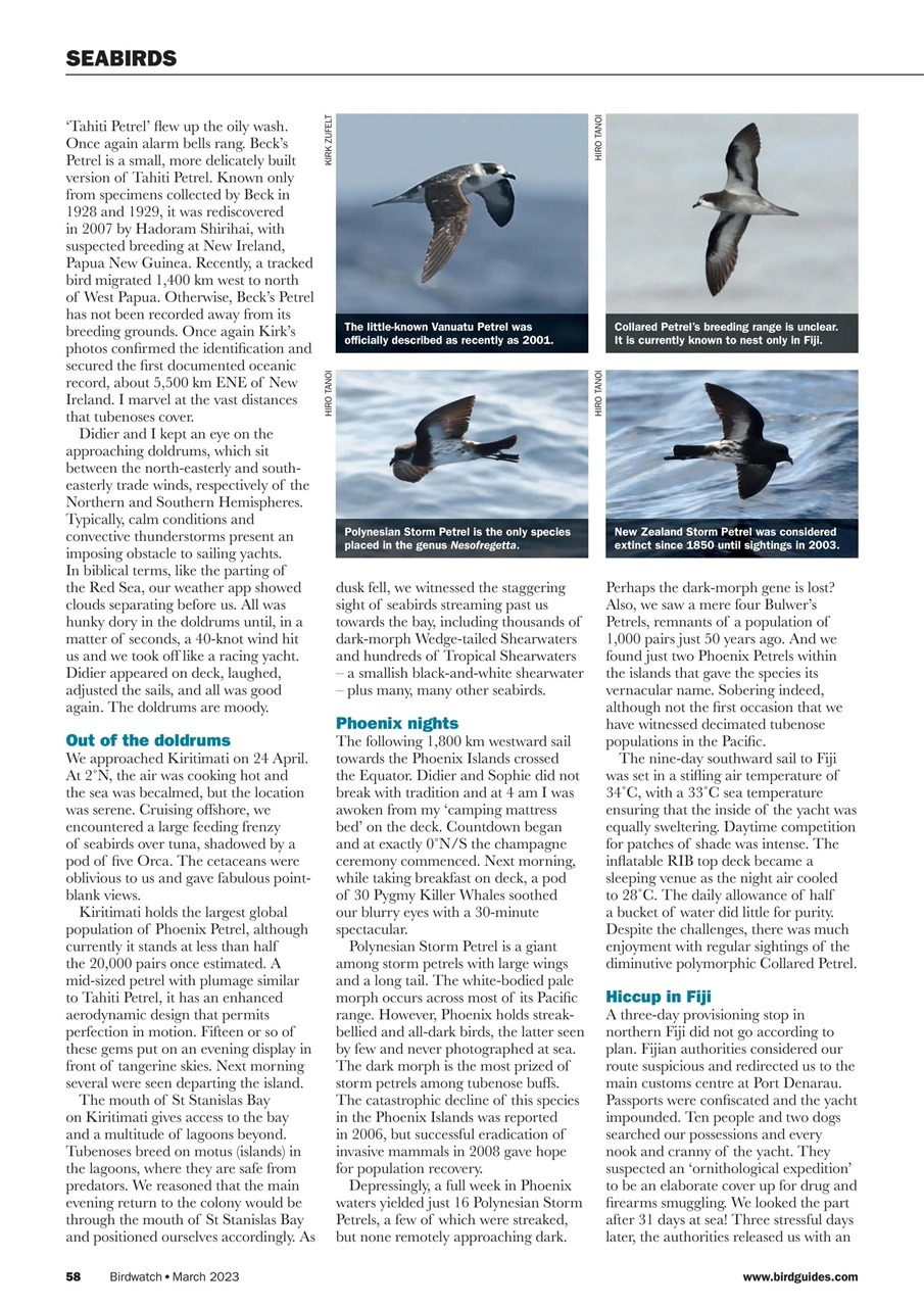 Birdwatch Magazine Preview Pages