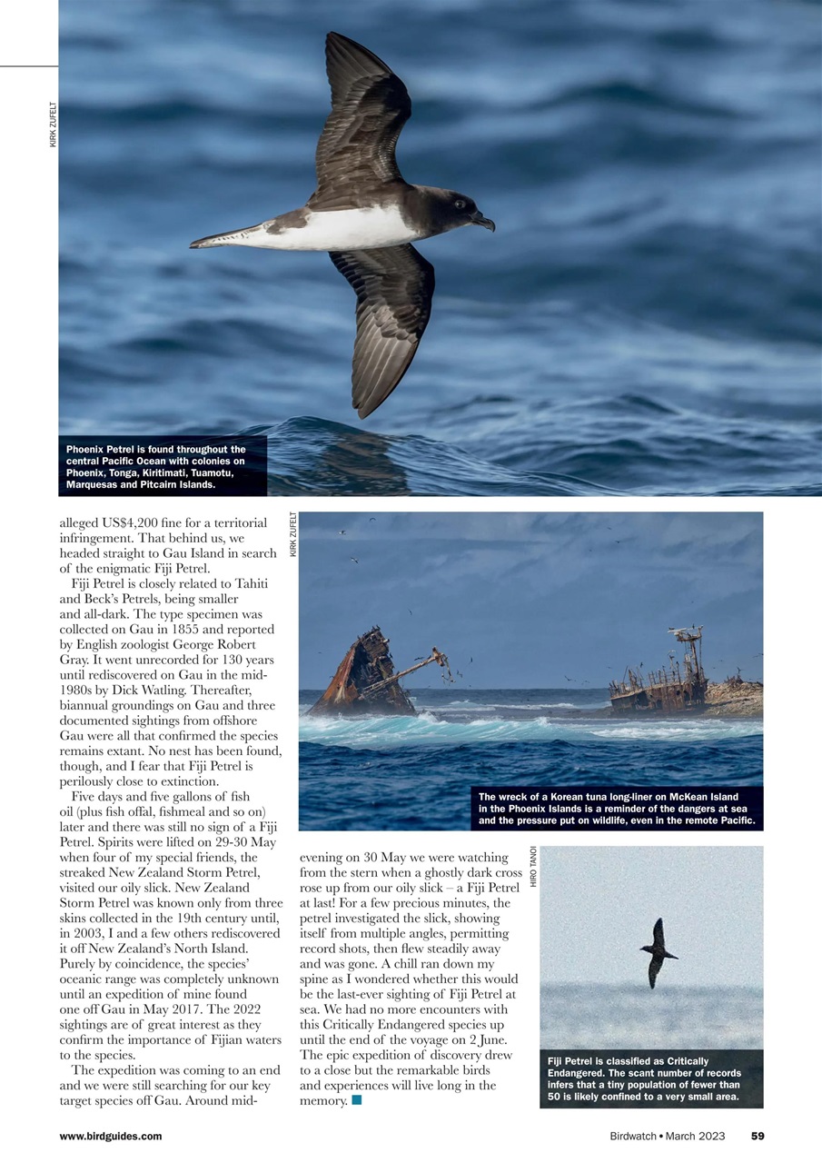 Birdwatch Magazine Preview Pages