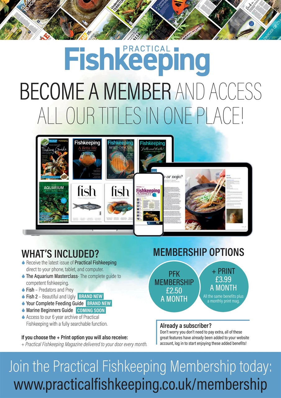 Practical Fishkeeping Preview Pages