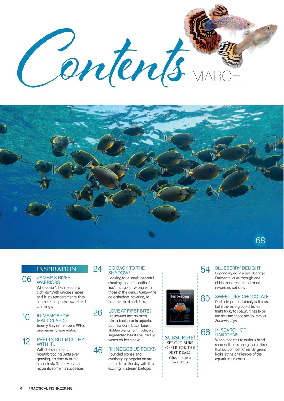 Practical Fishkeeping Preview Pages