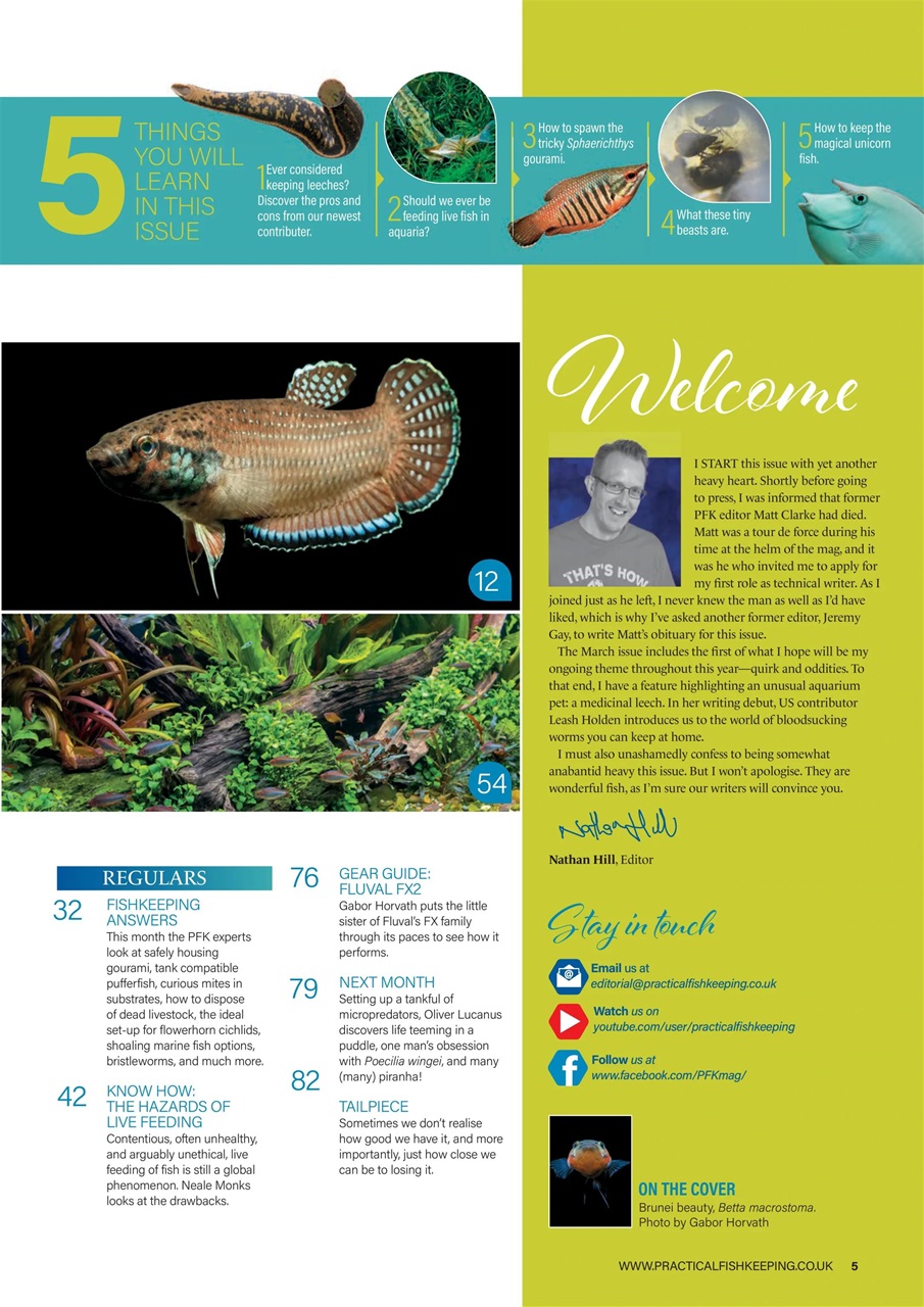 Practical Fishkeeping Preview Pages