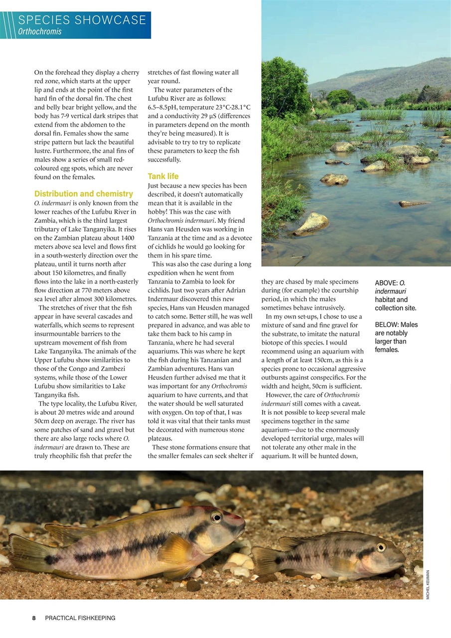 Practical Fishkeeping Preview Pages