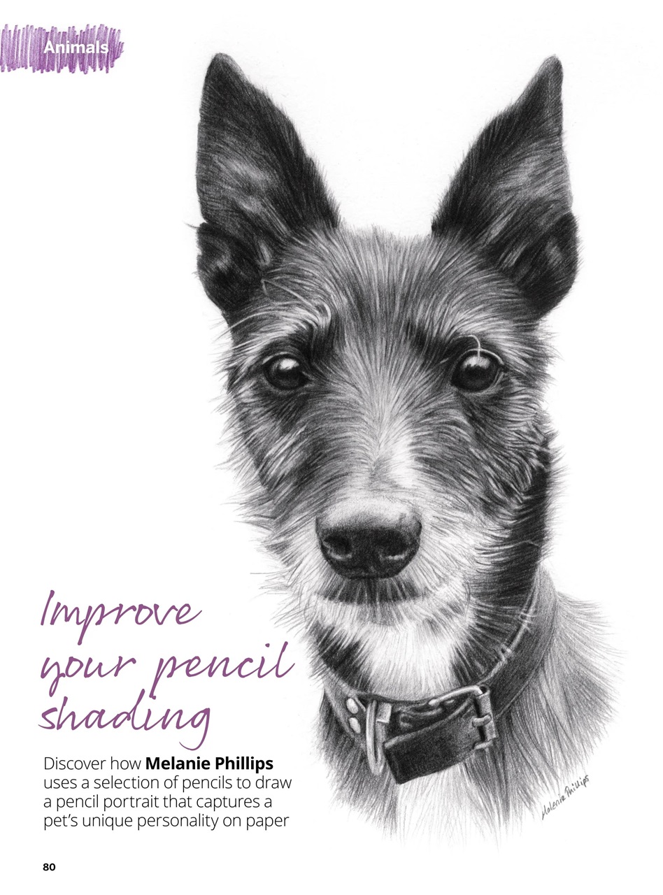 Creative Bookazine Preview Pages