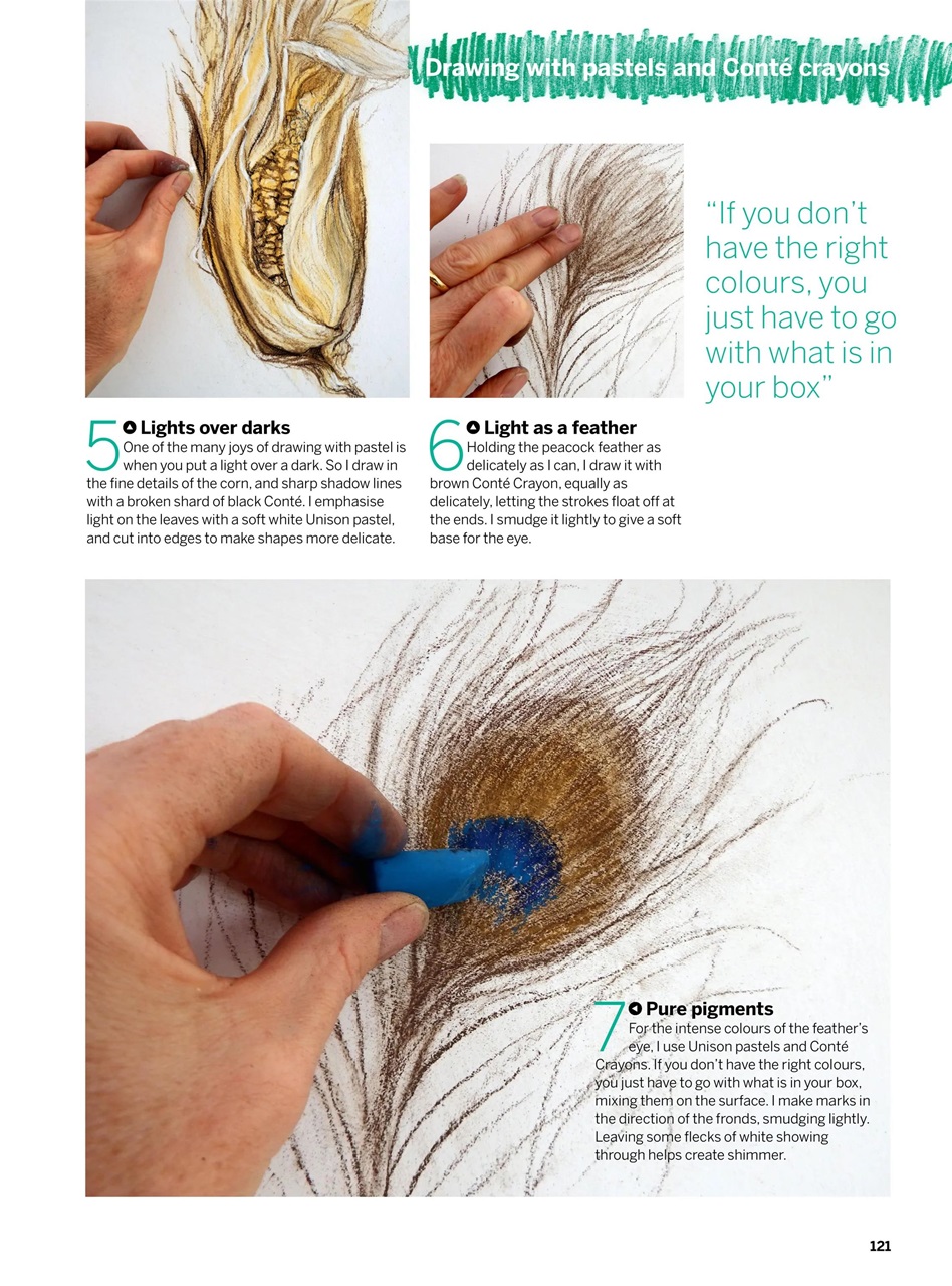 Creative Bookazine Preview Pages