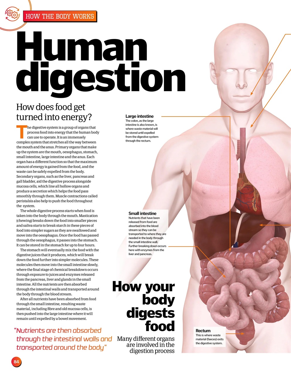How It Works Bookazine Preview Pages