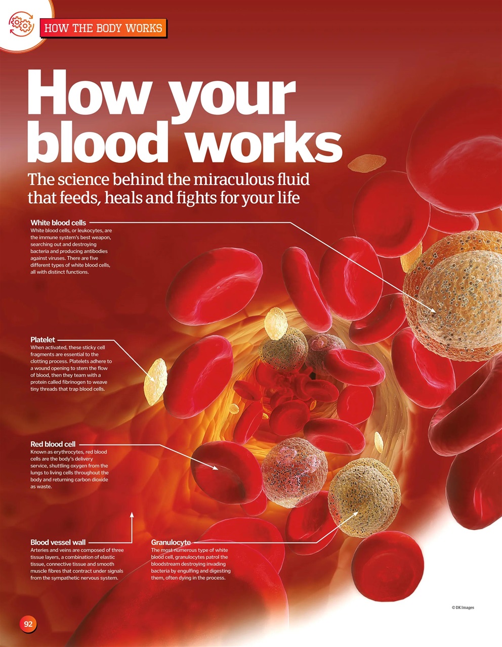 How It Works Bookazine Preview Pages