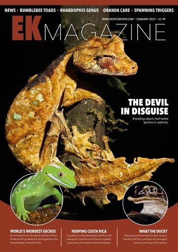 Exotics Keeper issue 