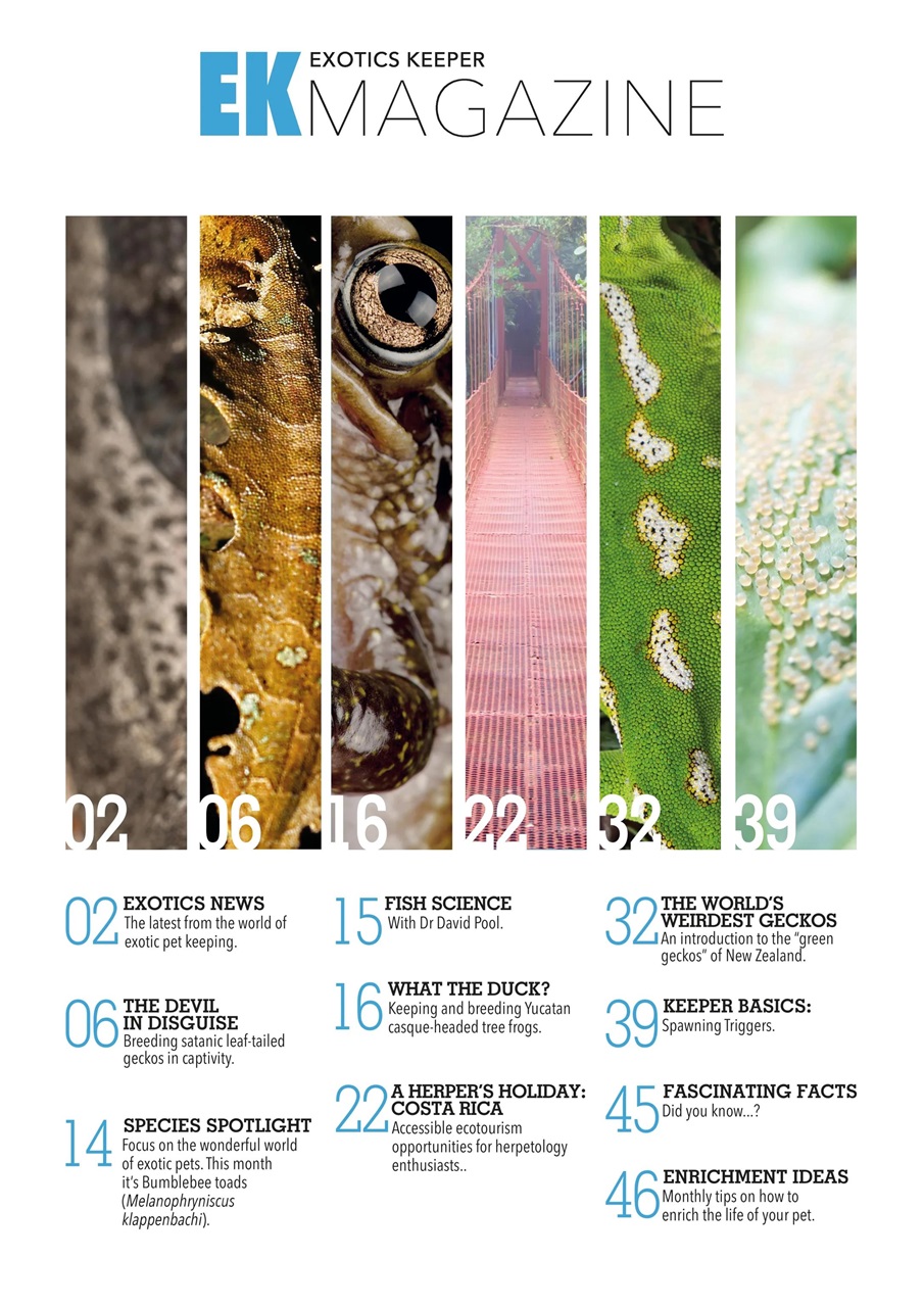 Exotics Keeper Preview Pages