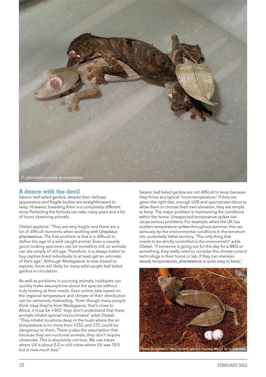 Exotics Keeper Preview Pages