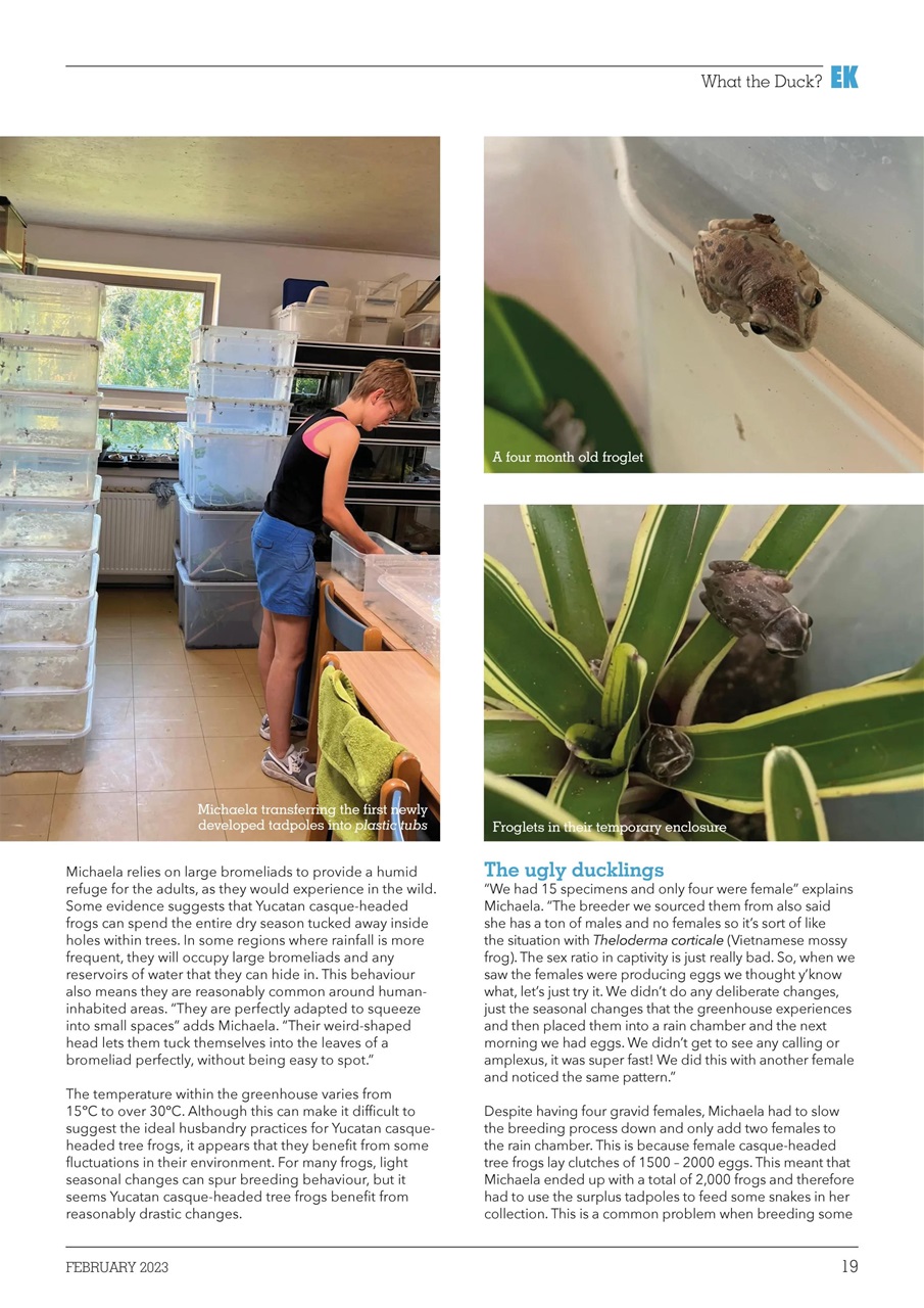 Exotics Keeper Preview Pages