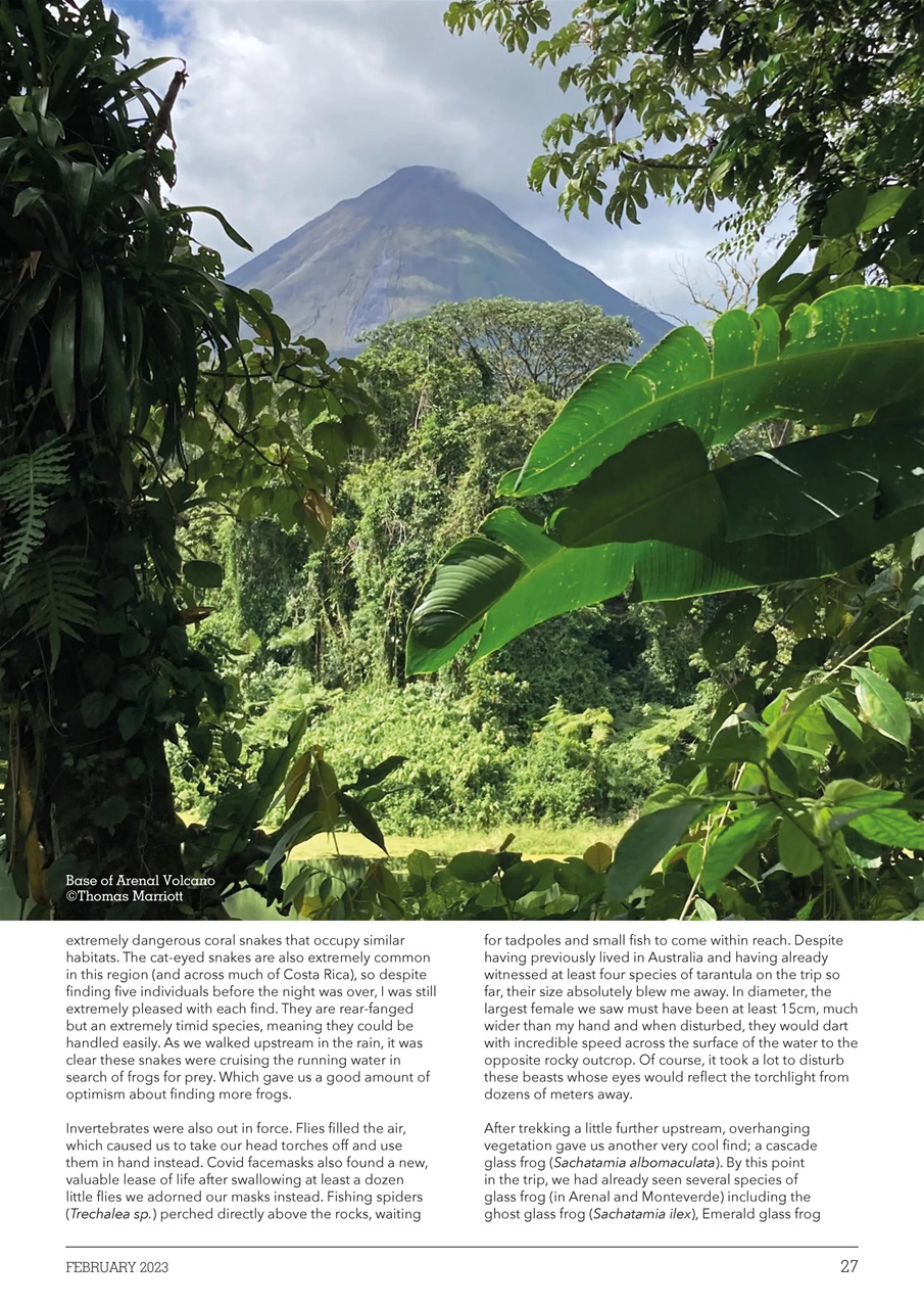 Exotics Keeper Preview Pages