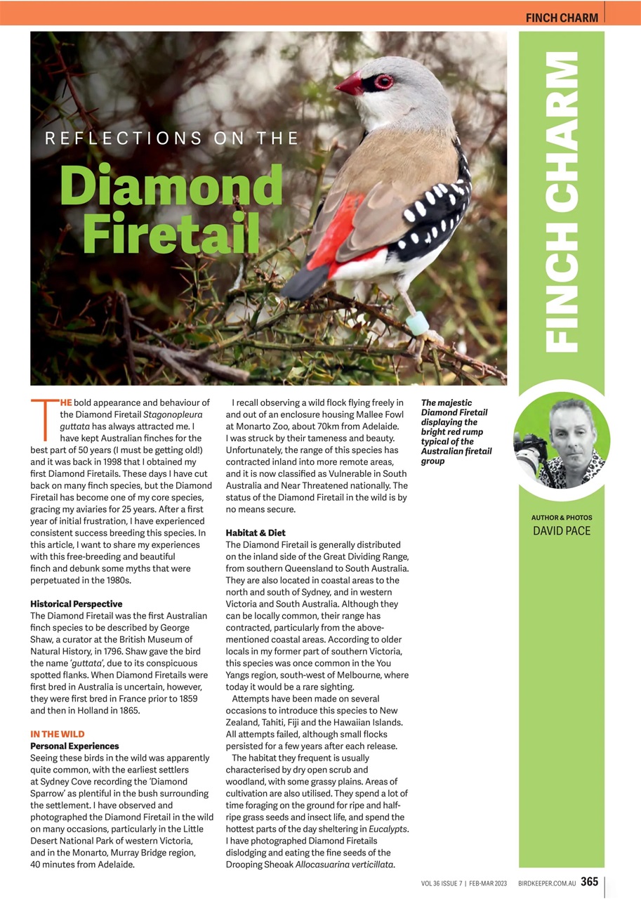 Australian Birdkeeper Magazine Preview Pages