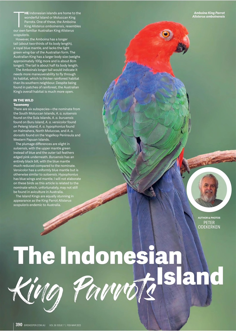 Australian Birdkeeper Magazine Preview Pages