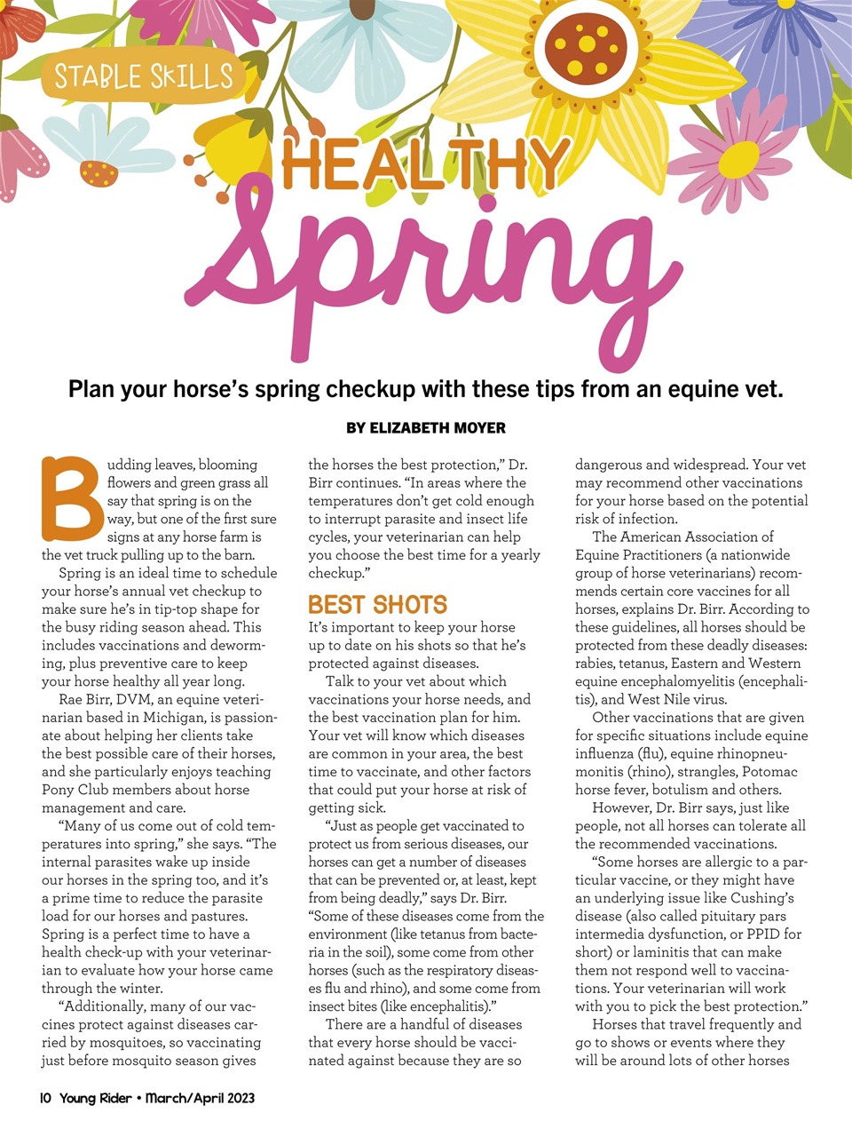 Young Rider Magazine Preview Pages