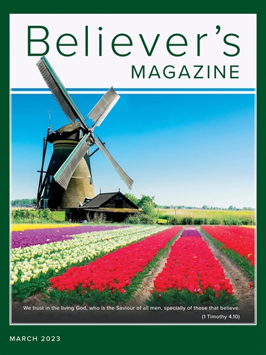 Believer Magazine issue 