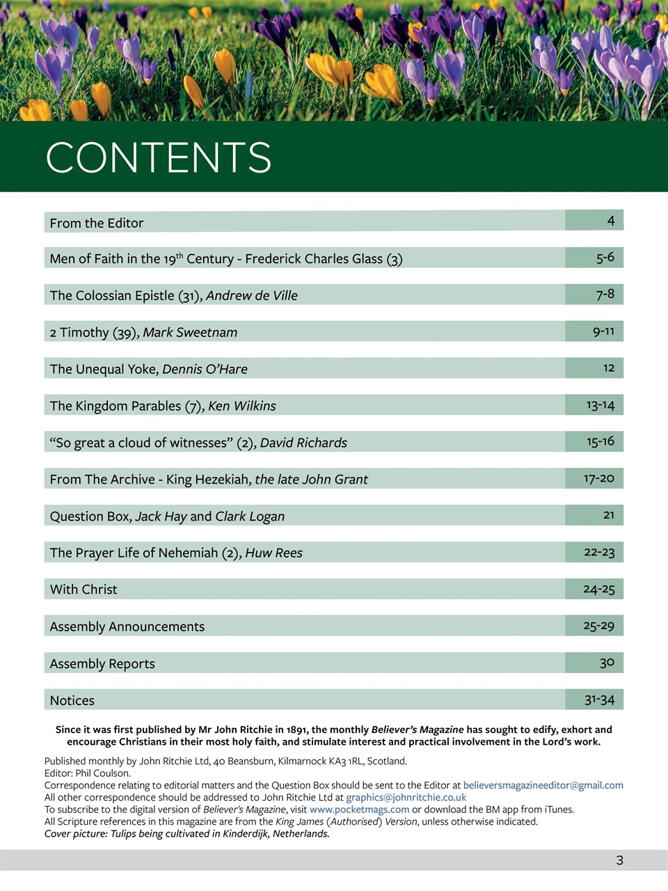 Believer Magazine Preview Pages