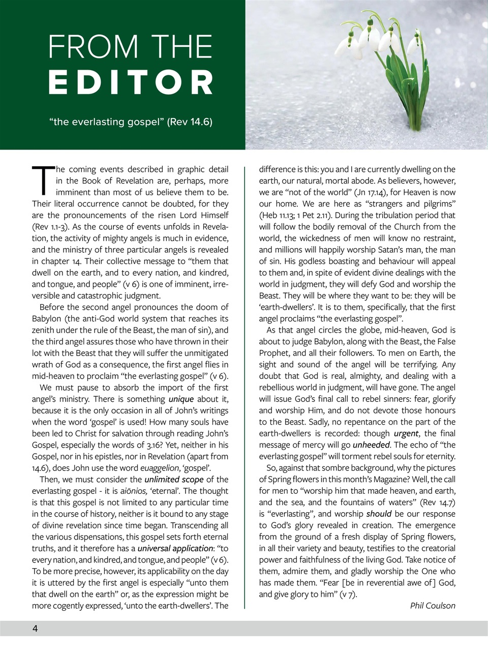 Believer Magazine Preview Pages