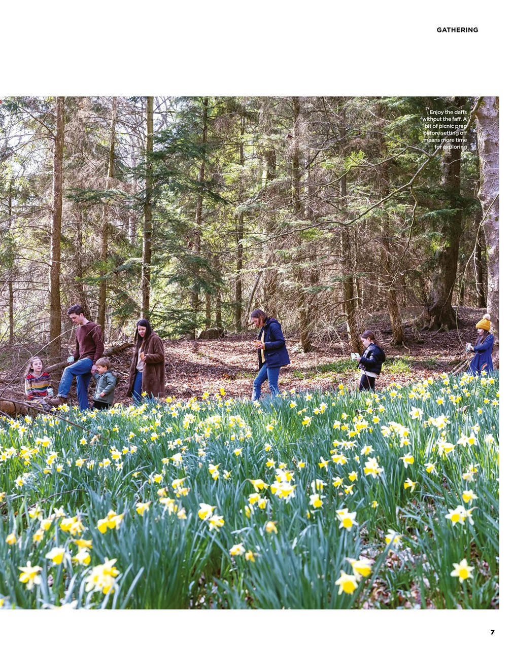 The Simple Things Preview Pages