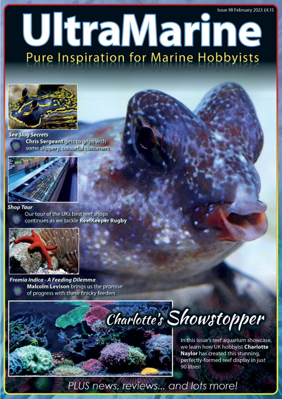 UltraMarine Magazine Preview Pages