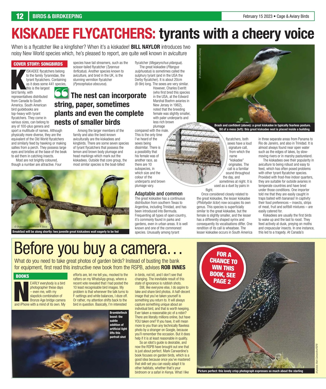 Cage & Aviary Birds Preview Pages