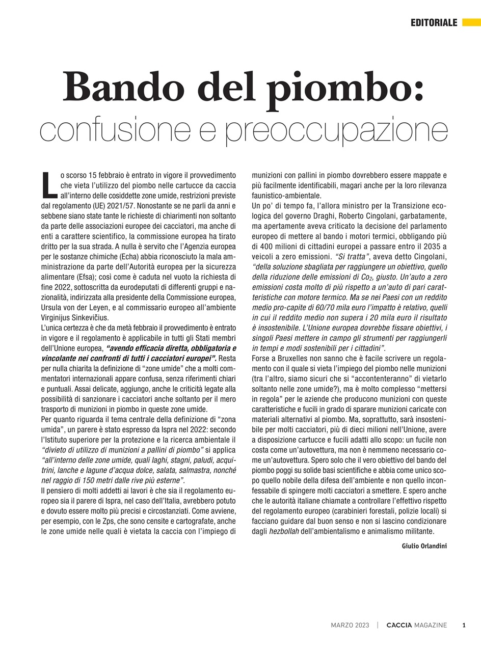 Caccia Magazine Preview Pages