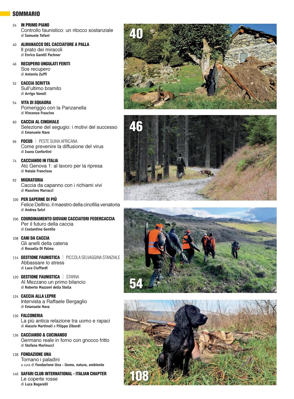 Caccia Magazine Preview Pages