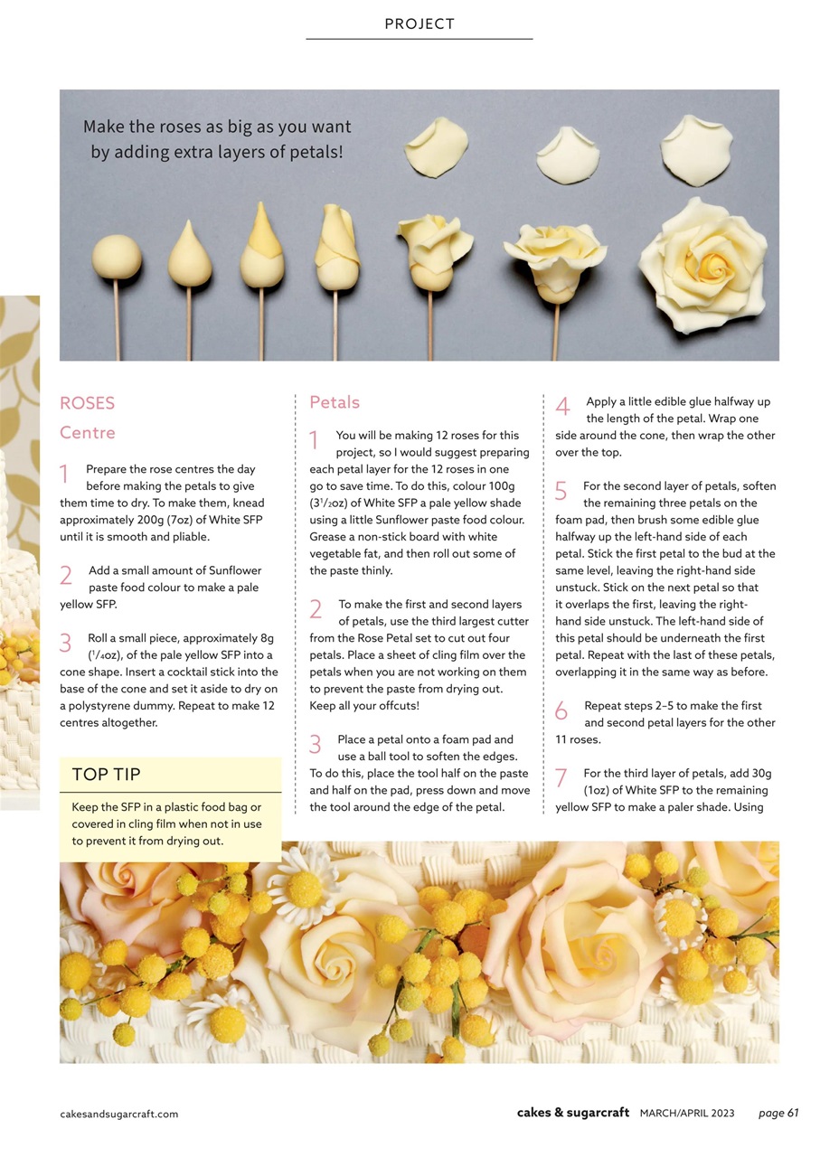 Cakes & Sugarcraft Preview Pages
