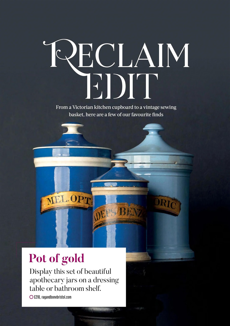 Reclaim Preview Pages