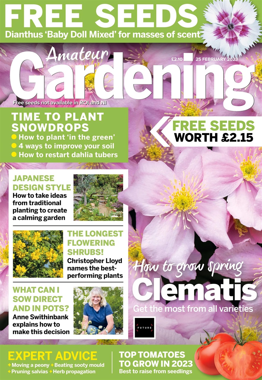 Amateur Gardening Preview Pages