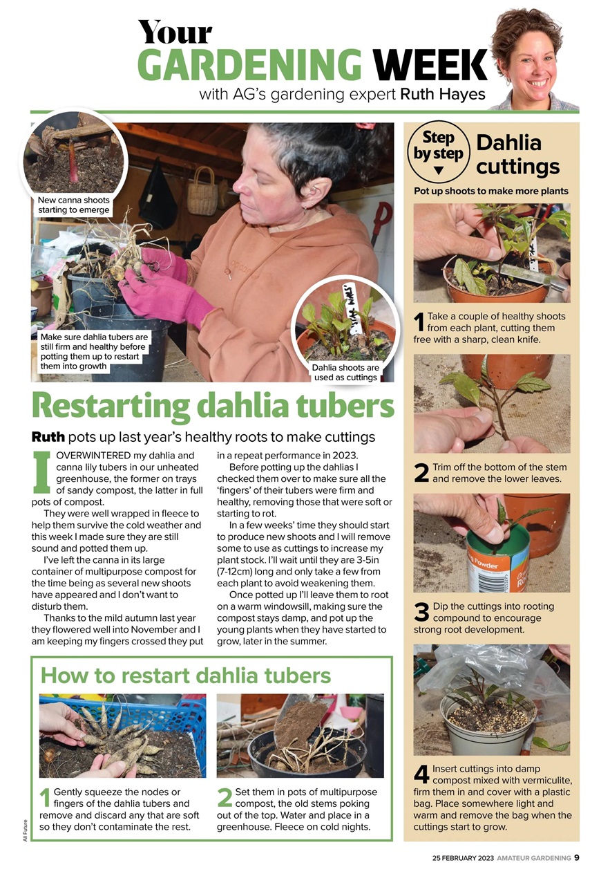 Amateur Gardening Preview Pages