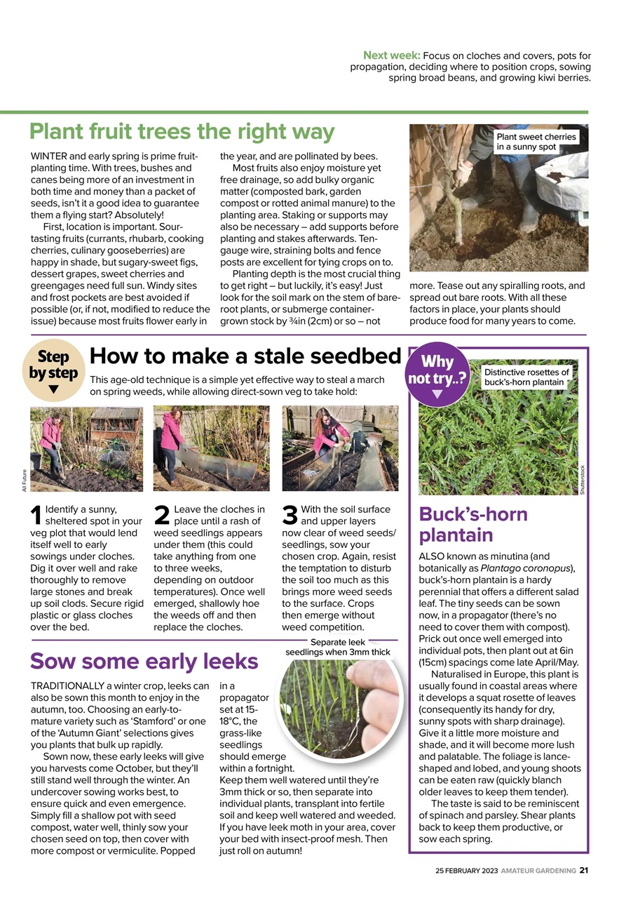 Amateur Gardening Preview Pages