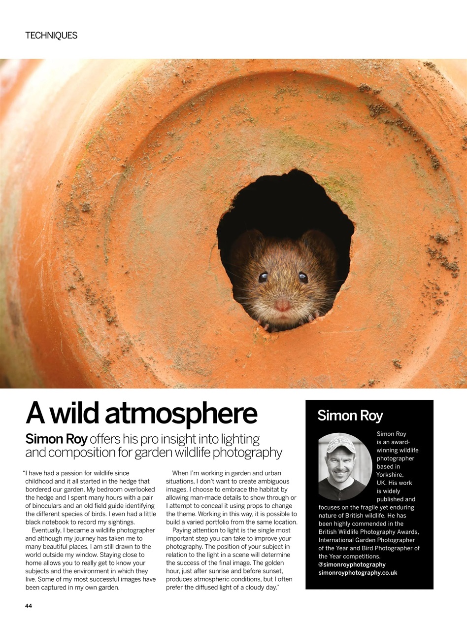 Digital Photographer Preview Pages