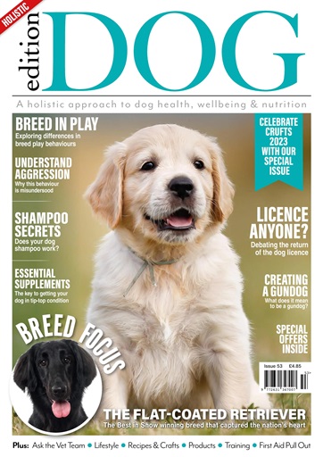 Edition Dog issue 