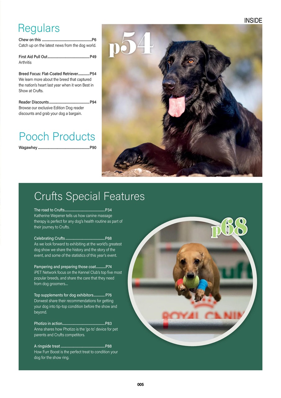 Edition Dog Preview Pages